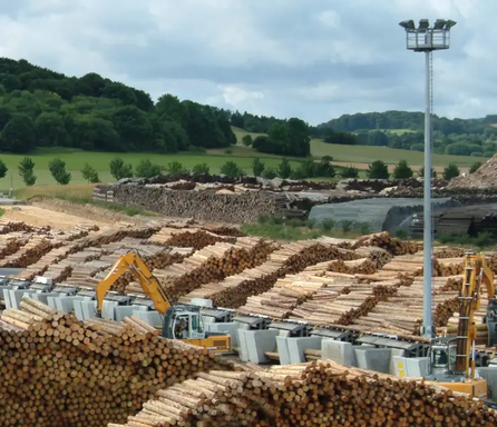 Bomen-verwerkt-tot-duurzaam-plaatmateriaal.webp